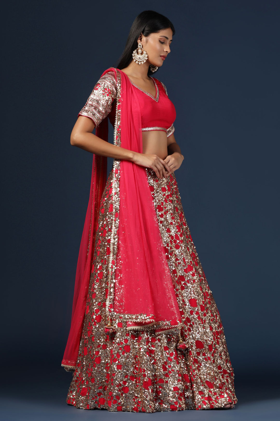 Rani Pink Embellished Lehenga Set