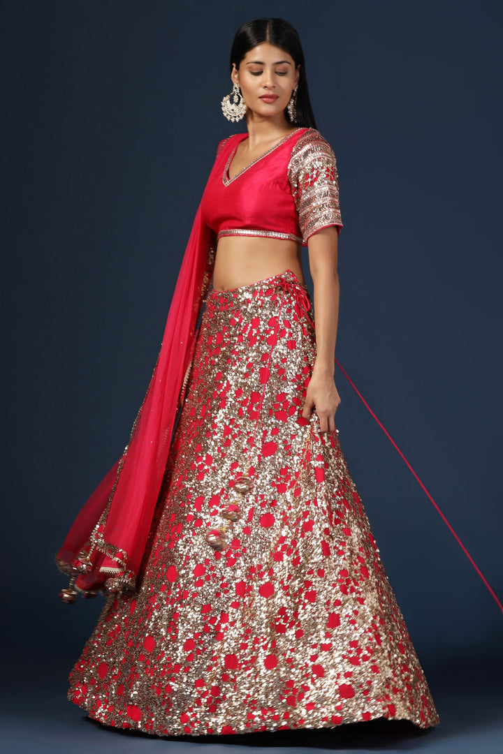 Rani Pink Embellished Lehenga Set