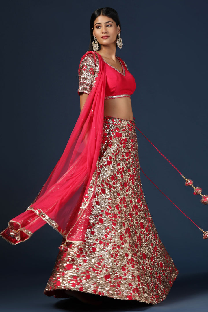 Rani Pink Embellished Lehenga Set