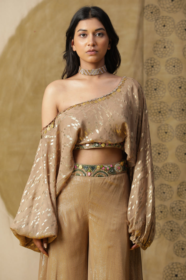 Beige Foil Georgette Flared Pant Set