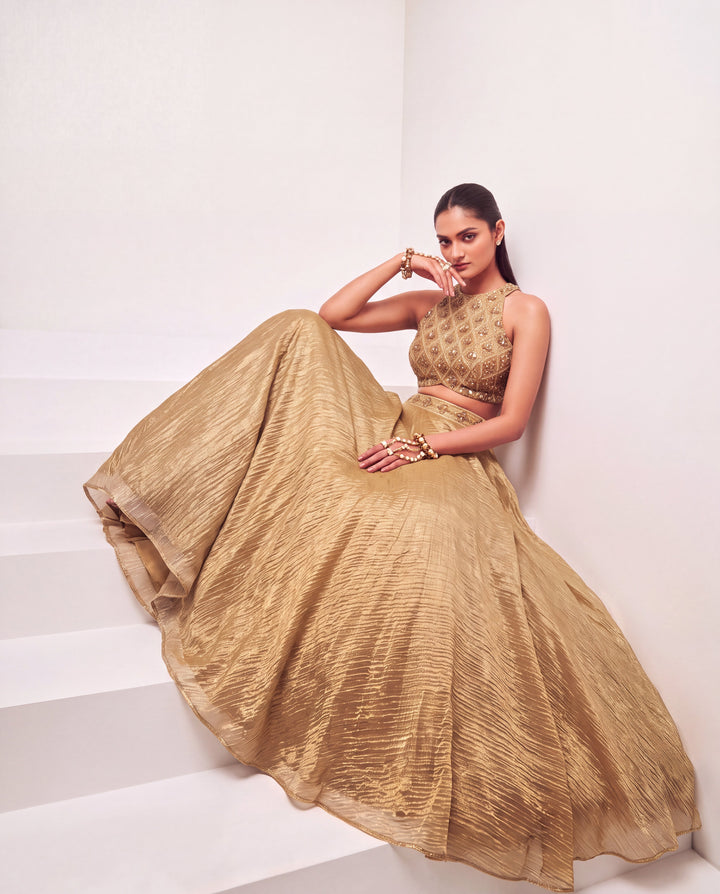 Champagne Gold Chimri Tissue Embellished Lehenga Set
