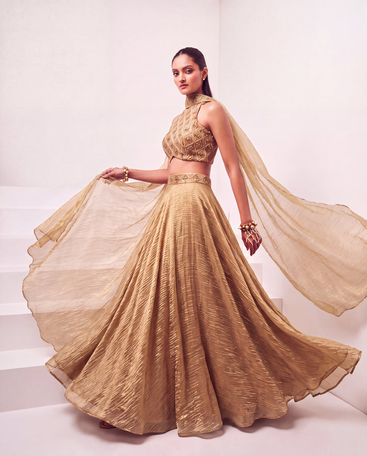 Champagne Gold Chimri Tissue Embellished Lehenga Set