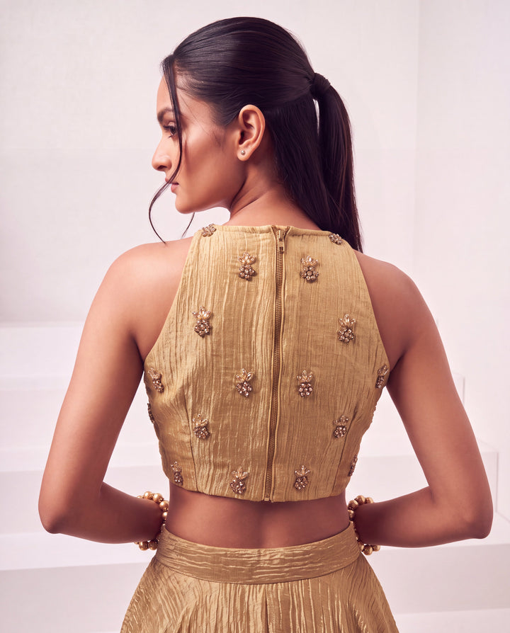 Champagne Gold Chimri Tissue Embellished Lehenga Set