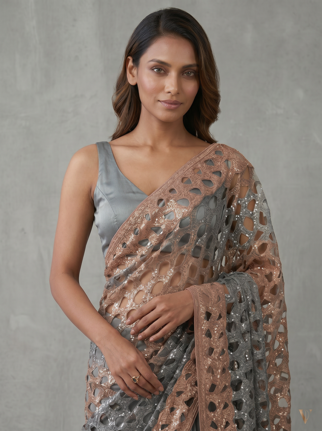 Blue Saree with Gold Cutwork Embellished Border & Pallu