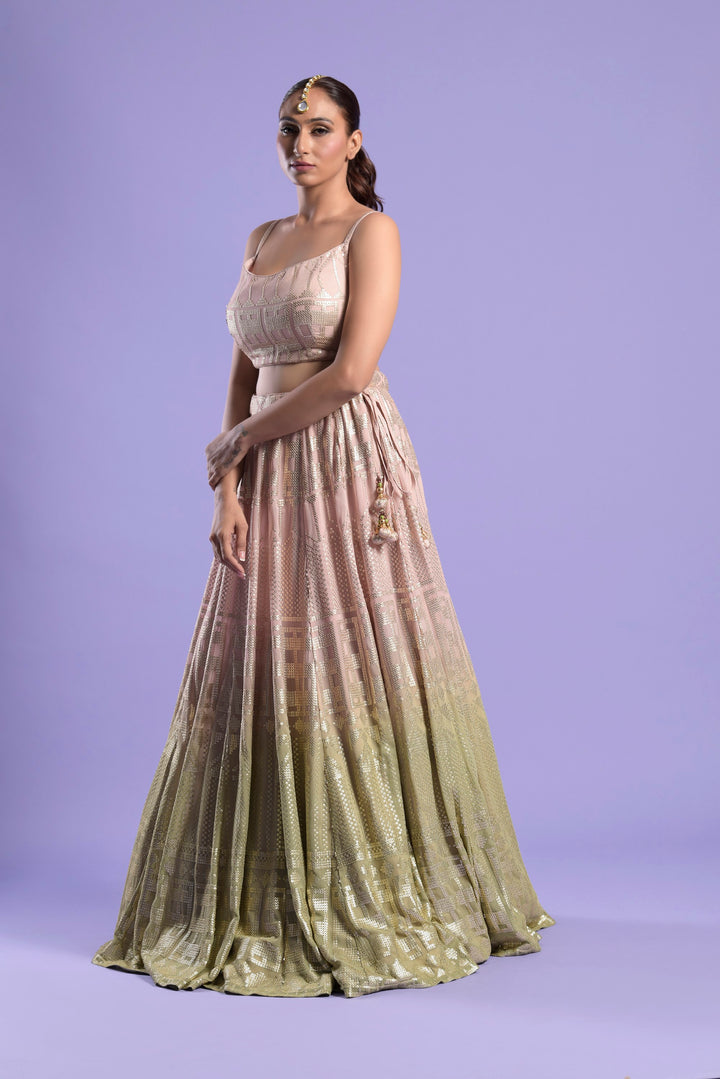 Nude Pink Ombre Organza Lehenga Set