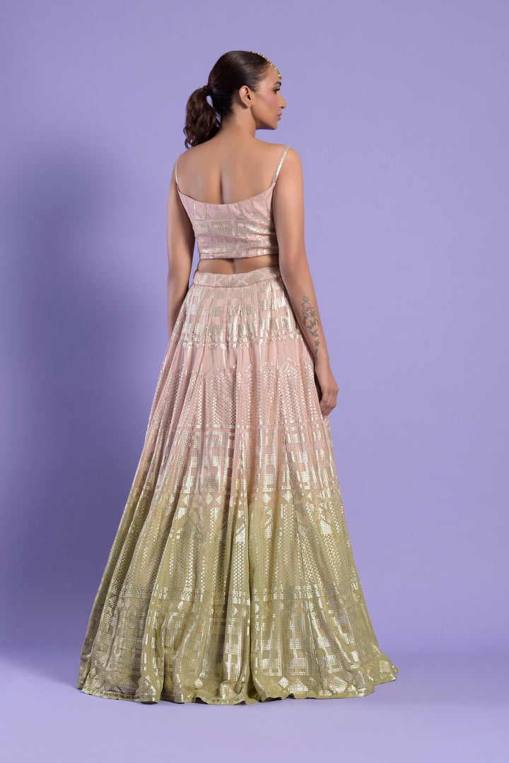 Nude Pink Ombre Organza Lehenga Set